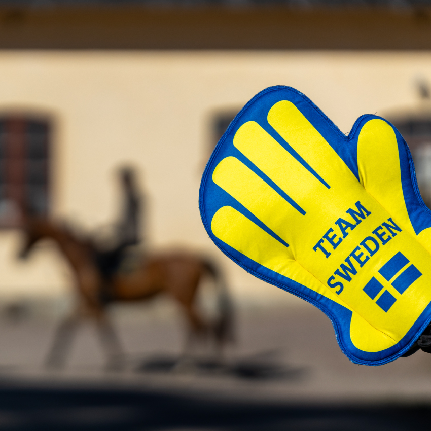 Produkter som visar att du hejar på den svenska ridsporten!